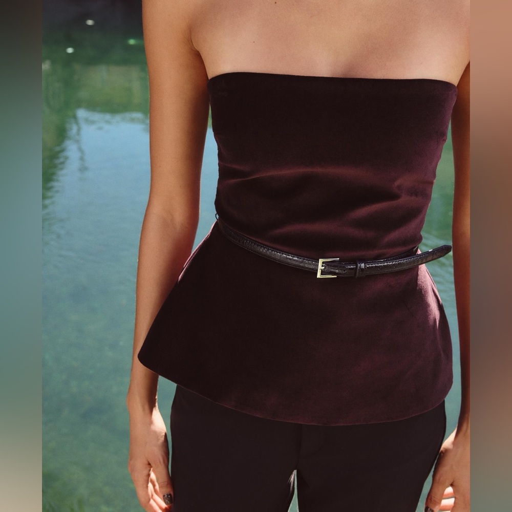 ZARA Elegant Strapless Velvet Top